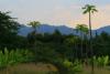 Scenery